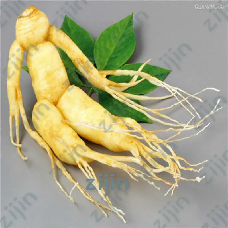100Pcs Chinese Ginseng Bonsai Panax Ginseng Flores King Of Herbs Plants Home High-Nutrition Vegetable Fruit Garden Pot
100Pcs Chinese Ginseng Bonsai Panax Ginseng Flores King Of Herbs Plants Home High-Nutrition Vegetable Fruit Garden Pot