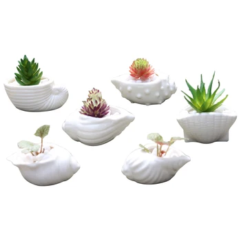 Pack of 6 Conch Shaped Cute Retro Simple Creative Desktop Decoration Flower Pot for Hotel Home Restaurant Office
Pack of 6 Conch Shaped Cute Retro Simple Creative Desktop Decoration Flower Pot for Hotel Home Restaurant Office