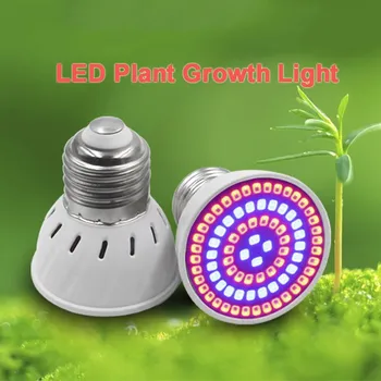 GU10 110V And 220V Led Growing Light For Garden Indoor Plant LED Grow Light Quality LED Red Light Spectrum For Plant Growing
GU10 110V And 220V Led Growing Light For Garden Indoor Plant LED Grow Light Quality LED Red Light Spectrum For Plant Growing