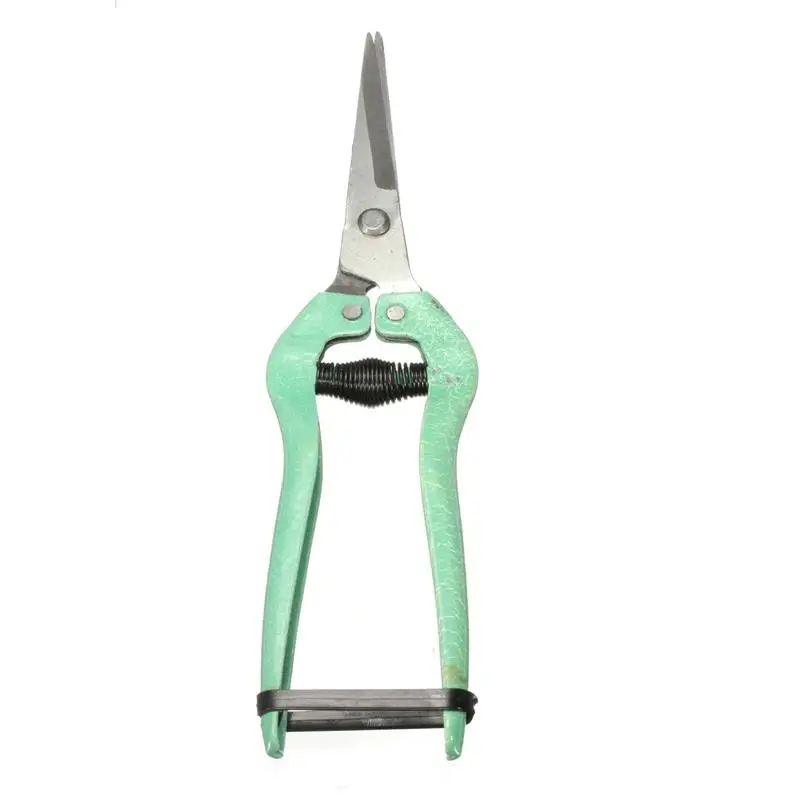 19.5cm Straight blade fruit flower leaf trimmer Garden Plant horticulture Scissor pruner Shear pruning cut Shrub Orchard tool
19.5cm Straight blade fruit flower leaf trimmer Garden Plant horticulture Scissor pruner Shear pruning cut Shrub Orchard tool