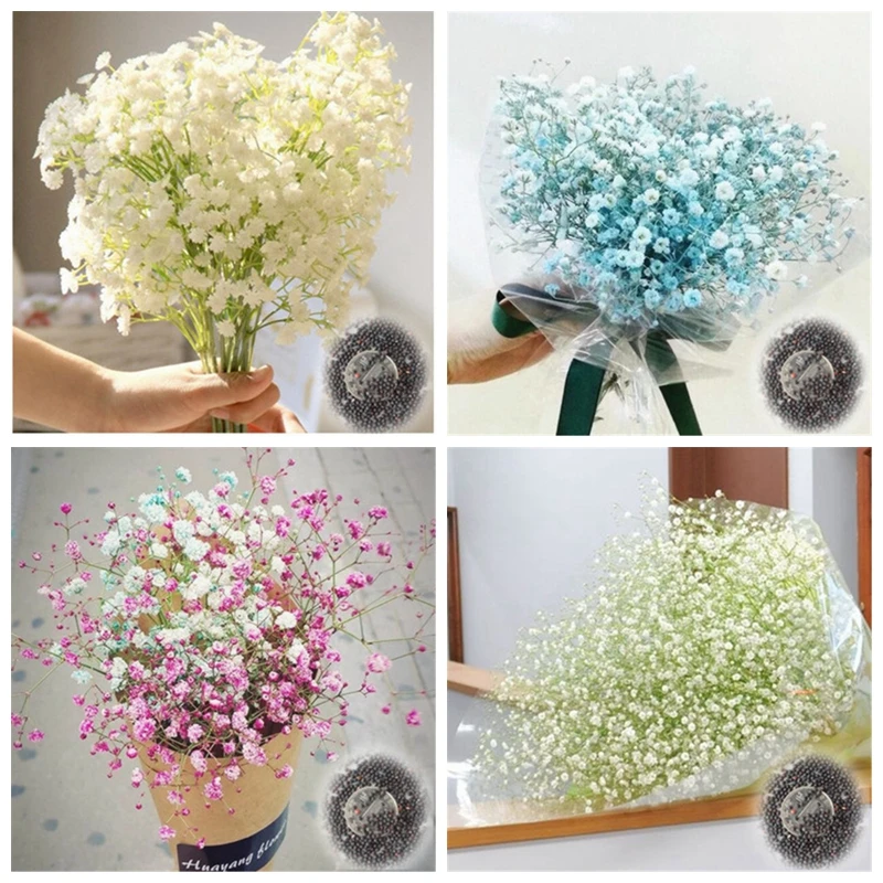 100 pcs Gypsophila Paniculata Plant Outdoor & Indoor Perennial Garden Flower Ornaments Bonsai for Wedding Decor Easy to Grow
100 pcs Gypsophila Paniculata Plant Outdoor & Indoor Perennial Garden Flower Ornaments Bonsai for Wedding Decor Easy to Grow
