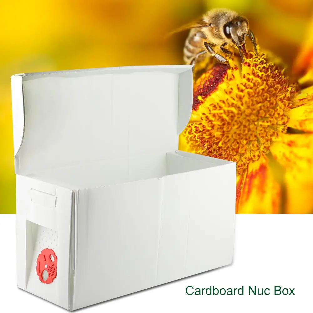 Garden Hive Box Harvest Bee Hive Beekeeping King Box Bee King Pollination Box Beekeeping Tool Beekeeper Equipment
Garden Hive Box Harvest Bee Hive Beekeeping King Box Bee King Pollination Box Beekeeping Tool Beekeeper Equipment