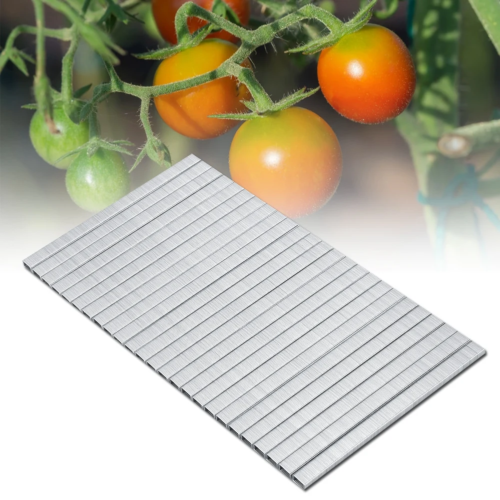 10000pcs/Set 604C Tomato Vine Binder Nail Tapetool Garden Nail Branch Binding Nail Garden tree strap Tools
10000pcs/Set 604C Tomato Vine Binder Nail Tapetool Garden Nail Branch Binding Nail Garden tree strap Tools