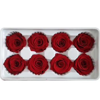8pcs/box High Quality Preserved Flowers Flower Immortal Rose 5cm Diameter Mothers Day Gift Eternal Life Flower Material Gift Box
8pcs/box High Quality Preserved Flowers Flower Immortal Rose 5cm Diameter Mothers Day Gift Eternal Life Flower Material Gift Box