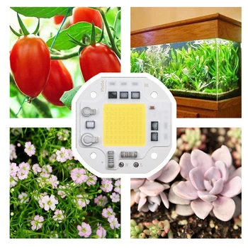 COB Chip Mini Portable Lamp LED floodlight outdoor COB Integration Lamp for Aquarium Flood Light Fish Tank Decoration Light 
COB Chip Mini Portable Lamp LED floodlight outdoor COB Integration Lamp for Aquarium Flood Light Fish Tank Decoration Light