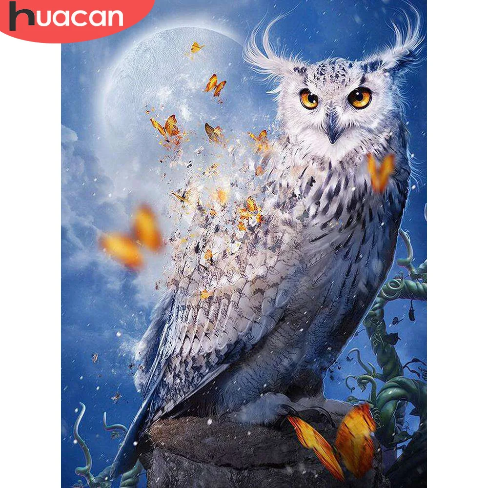 HUACAN 5d Diy Diamond Paintings Owl Animal Full Drill Diamond Embroidery Diamond Mosaic Picture Of Rhinestones Handmade
HUACAN 5d Diy Diamond Paintings Owl Animal Full Drill Diamond Embroidery Diamond Mosaic Picture Of Rhinestones Handmade
