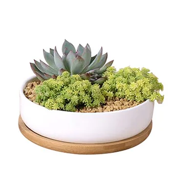 Behogar 4PCS 13.5cm Round Bamboo Plant Pot Saucer Trays for Indoor Outdoor Garden Office Succulent Potted Plant Flower Bonsai
Behogar 4PCS 13.5cm Round Bamboo Plant Pot Saucer Trays for Indoor Outdoor Garden Office Succulent Potted Plant Flower Bonsai