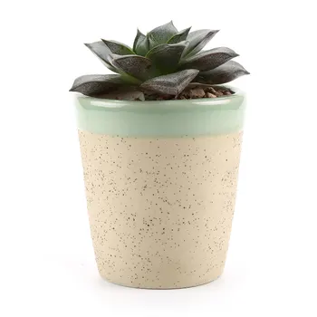 Clay Glzed Round Cup Shaped Succulent Cactus Plant Pot Flower Bonsai Pot Container Planter Garden Decoration Beige
Clay Glzed Round Cup Shaped Succulent Cactus Plant Pot Flower Bonsai Pot Container Planter Garden Decoration Beige