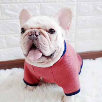 Pet Clothes Dog Clothes Winter Cat Clothes Turtleneck Extra Thick Warm Sweater Soft Bottom Peggy Kitten Coat New Pet Supplies
Pet Clothes Dog Clothes Winter Cat Clothes Turtleneck Extra Thick Warm Sweater Soft Bottom Peggy Kitten Coat New Pet Supplies