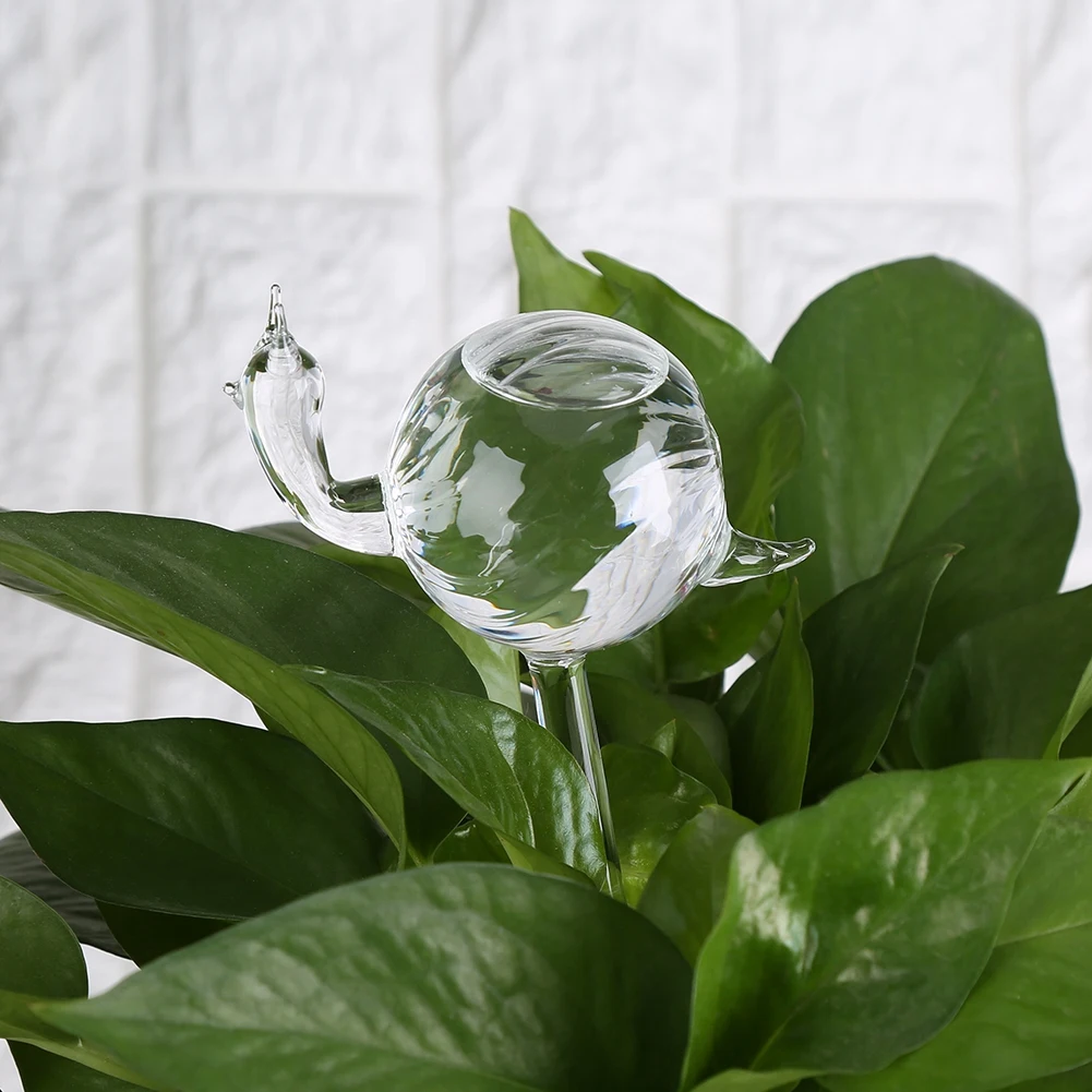 Flower Automatic Self Watering Globe Plant Water Bulbs Snail Shape Clear Glass Watering Device Plant Pot Waterer Water Cans
Flower Automatic Self Watering Globe Plant Water Bulbs Snail Shape Clear Glass Watering Device Plant Pot Waterer Water Cans