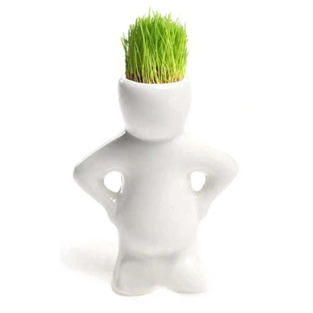 AUGKUN Small Creative Ornament DIY Mini Novel Grass Doll Artificial Planting Ceramic Porcelain Bonsai Cute Plant Potted Plants
AUGKUN Small Creative Ornament DIY Mini Novel Grass Doll Artificial Planting Ceramic Porcelain Bonsai Cute Plant Potted Plants