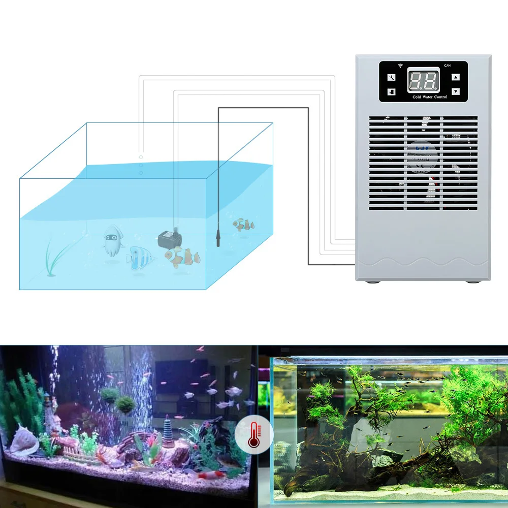 Aquarium Chiller 20L Fish Tank Water Cooling Machine Water Temperature Controller Aquarium Accessories
Aquarium Chiller 20L Fish Tank Water Cooling Machine Water Temperature Controller Aquarium Accessories