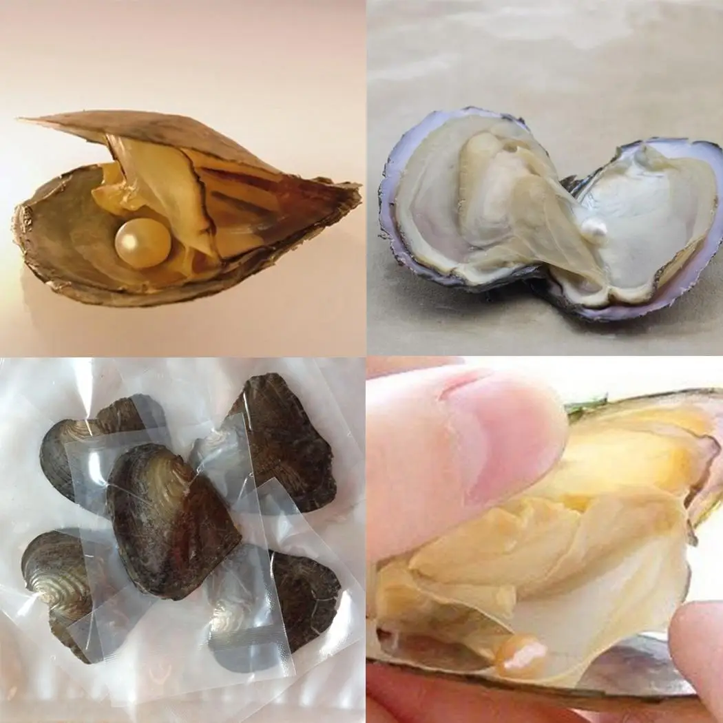 6 psc Vacuum Packaging Mussel Oyster Drop Fashion Round Approx.7g Pearl White Pendant Gift Giving Pearls
6 psc Vacuum Packaging Mussel Oyster Drop Fashion Round Approx.7g Pearl White Pendant Gift Giving Pearls