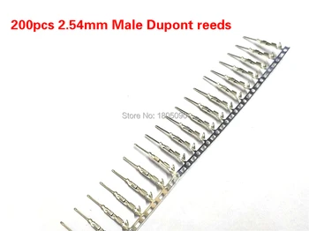 200pcs 2.54mm Male pin Dupont reeds Dupont Jumper Wire 2.54 Dupont languette Connector Terminal Pins Crimp
200pcs 2.54mm Male pin Dupont reeds Dupont Jumper Wire 2.54 Dupont languette Connector Terminal Pins Crimp