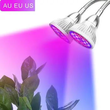 60W Dual Head LED Grow Light With Desk Holder Clip Growing Lamp For Indoor Greenhouse Flowering Plant and Hydroponics System
60W Dual Head LED Grow Light With Desk Holder Clip Growing Lamp For Indoor Greenhouse Flowering Plant and Hydroponics System