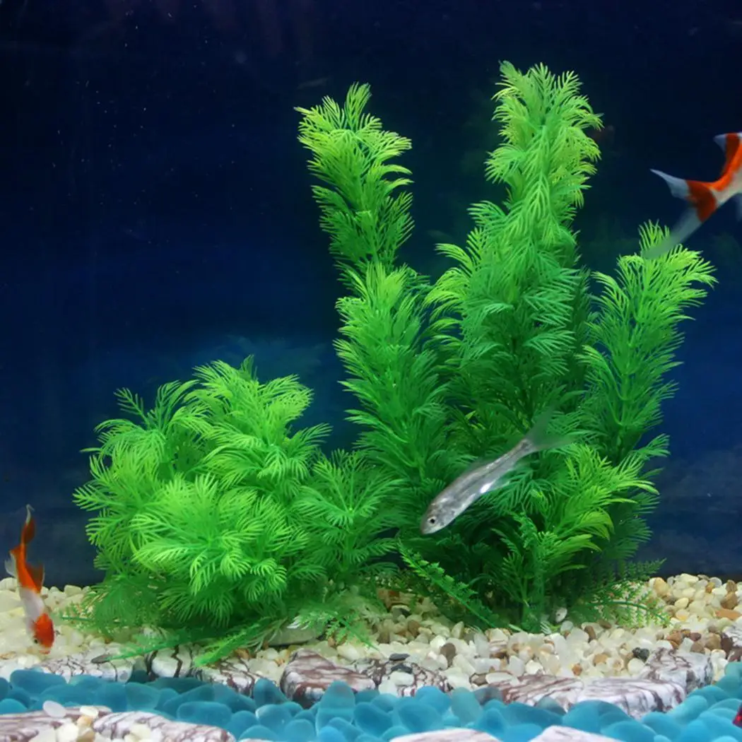 Realistic Green Artificial Plastic Grass Tree Water Plant Fish Tank Aquarium Tank Aquarium Decoration Pet Fish Decor Supplies
Realistic Green Artificial Plastic Grass Tree Water Plant Fish Tank Aquarium Tank Aquarium Decoration Pet Fish Decor Supplies