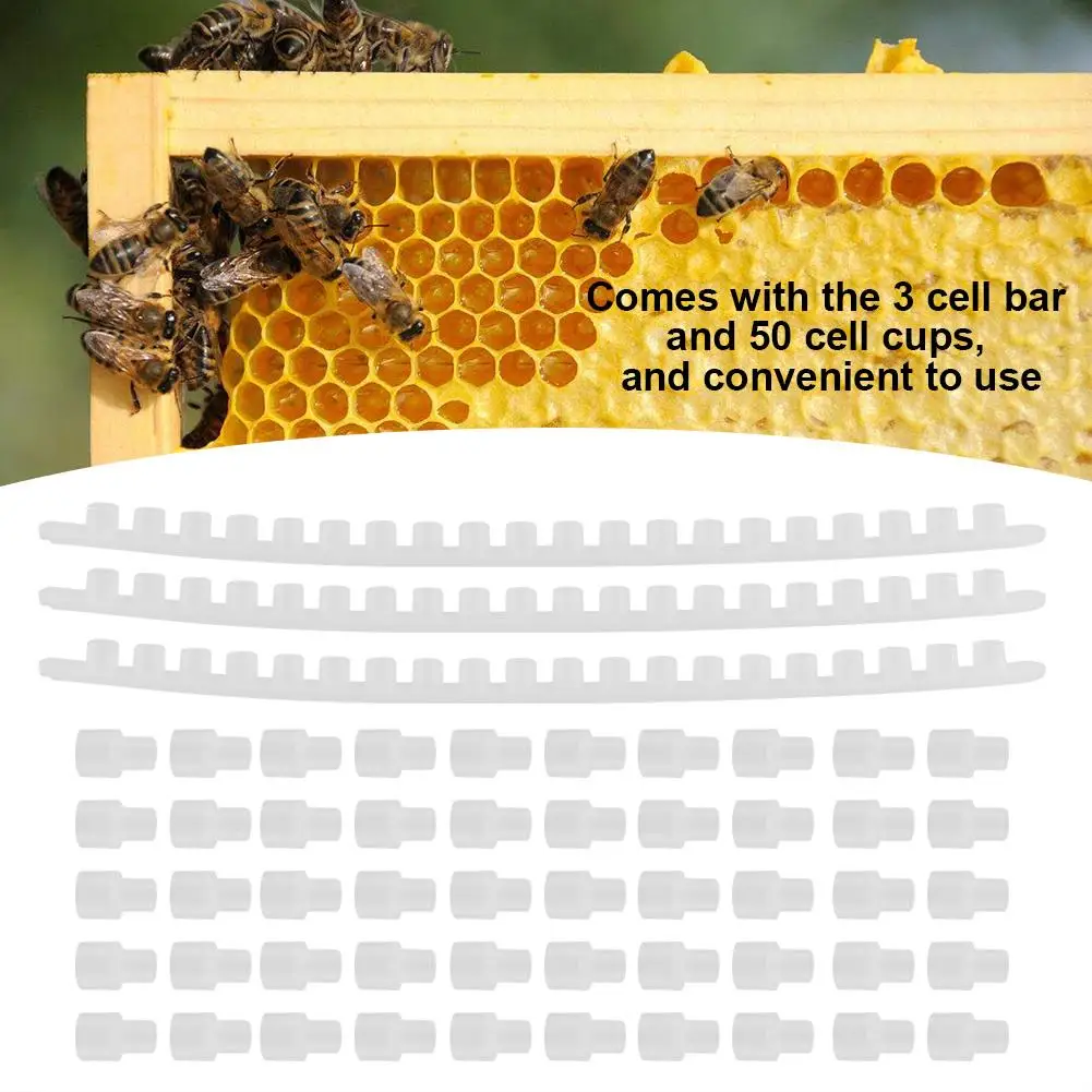 3Pcs Bee Cell Bars Strips with 50Pcs Cell Cups Beekeeping Queen Rearing Tool Supplies Fashion Garden Tools
3Pcs Bee Cell Bars Strips with 50Pcs Cell Cups Beekeeping Queen Rearing Tool Supplies Fashion Garden Tools