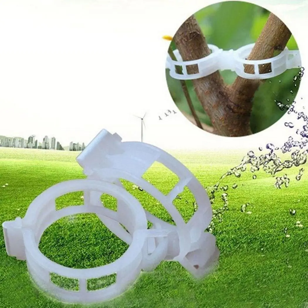 50PCS Vine Tomato Stem Plant Clips Vegetable Support White 23mm support plastic clip Fixing Clip 23mm
50PCS Vine Tomato Stem Plant Clips Vegetable Support White 23mm support plastic clip Fixing Clip 23mm