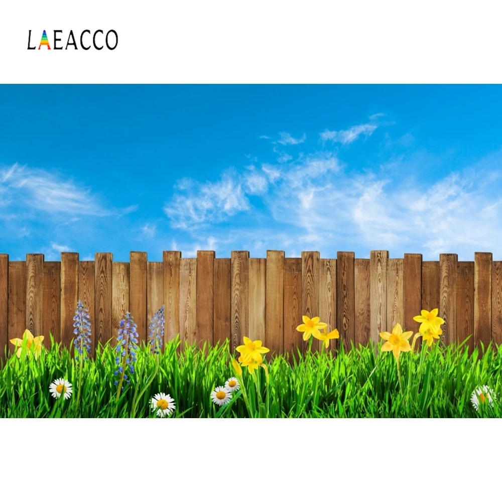 Laeacco Wooden Board Grass Cloudy Backdrop People Portrait Photography Background Decor Photographic Backdrops For Photo Studio
Laeacco Wooden Board Grass Cloudy Backdrop People Portrait Photography Background Decor Photographic Backdrops For Photo Studio