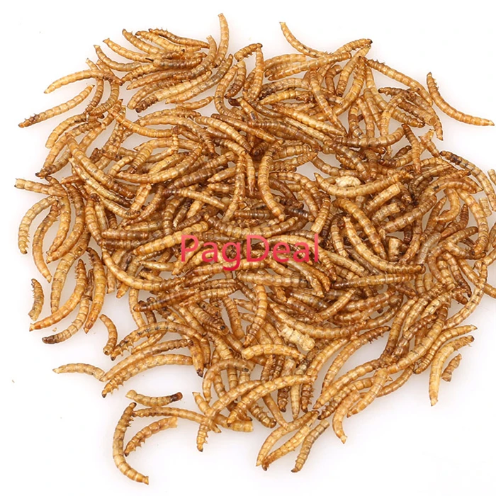 100g Dried Mealworms for Aquarium Fish Feed Reptile Turtle Hamster Wild Bird Pet Food Feeding
100g Dried Mealworms for Aquarium Fish Feed Reptile Turtle Hamster Wild Bird Pet Food Feeding