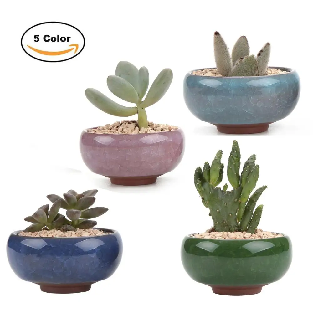 T4U 2.5 Inch Ceramic Ice Crack Zisha Serial succulent Plant Pot Cactus bonsai Pot Flower Pot Container Planter garden decoration
T4U 2.5 Inch Ceramic Ice Crack Zisha Serial succulent Plant Pot Cactus bonsai Pot Flower Pot Container Planter garden decoration
