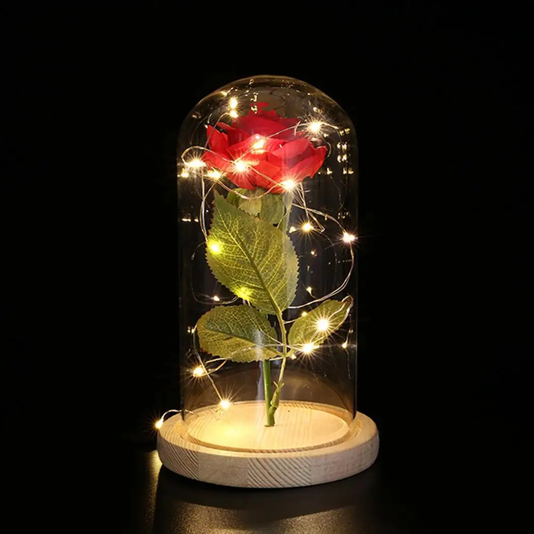 Durable Party Decoration Rose Flower LED Home Illuminating Lights Illuminating, With Glass Cover USB 20
Durable Party Decoration Rose Flower LED Home Illuminating Lights Illuminating, With Glass Cover USB 20
