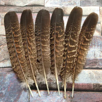 Wholesale 100pcs Beautiful 6-8 inches/15-20 cm Natural USA Wild Turkey Tail Feathers Multipurpose Decoration
Wholesale 100pcs Beautiful 6-8 inches/15-20 cm Natural USA Wild Turkey Tail Feathers Multipurpose Decoration