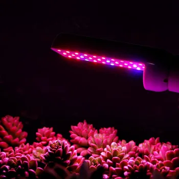 E27 Transverse Insert LED Grow Light Red Blue Spectrum 360 Degree Rotating Led Growing Light Voltage 110v To 260v Led For Plants
E27 Transverse Insert LED Grow Light Red Blue Spectrum 360 Degree Rotating Led Growing Light Voltage 110v To 260v Led For Plants