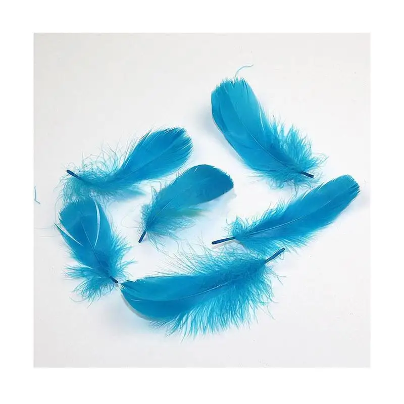 100pcs/lot Natural Goose Feathers Feather Craft DIY Goose Plumas Clothes Hat Jewelry Decoration Carnival Party A30
100pcs/lot Natural Goose Feathers Feather Craft DIY Goose Plumas Clothes Hat Jewelry Decoration Carnival Party A30