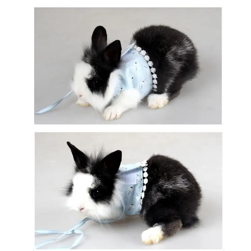 Pet Clothes Chinchilla Costumes Pet Leash Guinea Pig Traction Rope Outdoor Training Soft Cotton Clothes Rope For Hamster Pig
Pet Clothes Chinchilla Costumes Pet Leash Guinea Pig Traction Rope Outdoor Training Soft Cotton Clothes Rope For Hamster Pig