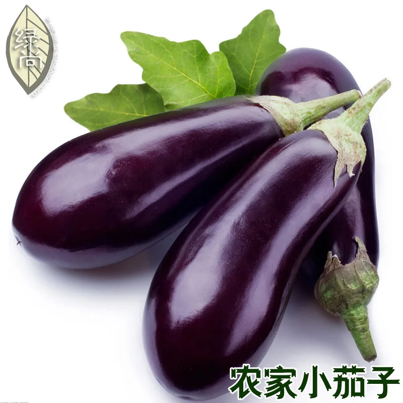 Farmers Small Eggplant bonsais Tablets 4 Seasons Sowing Garden Balcony Potted Vegetables bonsai 100pcs
Farmers Small Eggplant bonsais Tablets 4 Seasons Sowing Garden Balcony Potted Vegetables bonsai 100pcs