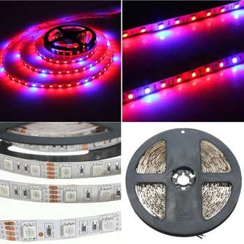 1M 2M 3-M 4M 5M 3:1 5050 SMD LED Non-waterproof Hydroponic Plant Grow Strip Light DC12V
1M 2M 3-M 4M 5M 3:1 5050 SMD LED Non-waterproof Hydroponic Plant Grow Strip Light DC12V