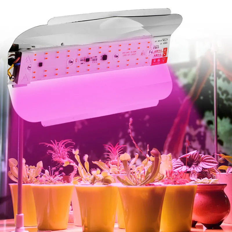1/2/4PCS LED Grow Light Full Spectrum Indoor 220V Plant Grow Flood Light Growing Lamp for Hydroponics Greenhouse 50W 100W
1/2/4PCS LED Grow Light Full Spectrum Indoor 220V Plant Grow Flood Light Growing Lamp for Hydroponics Greenhouse 50W 100W