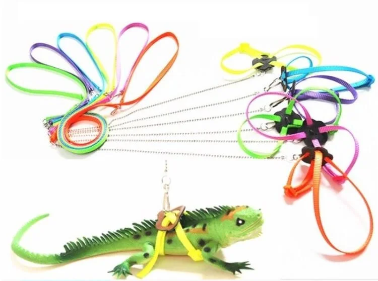 Pet Product Supply Polyester Adjustable Reptile Lizard Harness Leash Adjustable Hauling Cable Rope Small Animals
Pet Product Supply Polyester Adjustable Reptile Lizard Harness Leash Adjustable Hauling Cable Rope Small Animals
