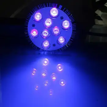 2019 New 3W 5W 7W 9W E27 AC 85-265V UV LED Ultraviolet Spotlight Lamp Bulb Violet Light Ultraviolet Light
2019 New 3W 5W 7W 9W E27 AC 85-265V UV LED Ultraviolet Spotlight Lamp Bulb Violet Light Ultraviolet Light