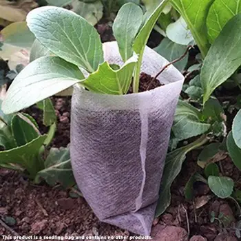 100pcs Nonwoven Fabric Nursery Pots Seedling-raising Bags Disposable Degradable Seedling Pouch Planting Bag Gardening Tools
100pcs Nonwoven Fabric Nursery Pots Seedling-raising Bags Disposable Degradable Seedling Pouch Planting Bag Gardening Tools