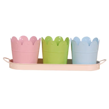 One Set Mini Decorative Candy Colored Bucket Flower Pot Planter Set for Garden Wedding Party
One Set Mini Decorative Candy Colored Bucket Flower Pot Planter Set for Garden Wedding Party