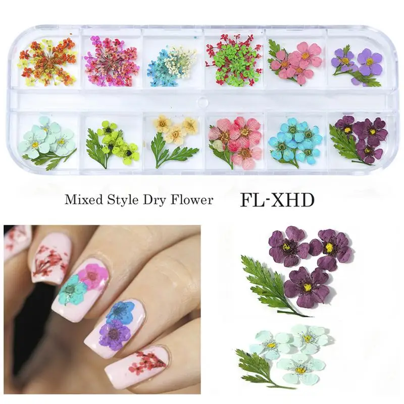 12 Grid Nail Decoration Beautiful Natural Dried Flowers Floral 3D Tag Easy To Wear Beauty Dry Nail Art Decorator
12 Grid Nail Decoration Beautiful Natural Dried Flowers Floral 3D Tag Easy To Wear Beauty Dry Nail Art Decorator