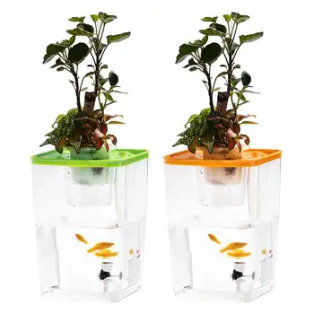 Acrylic Fish Tank Fish Vegetables Symbiotic Free Water Desktop Aquarium Office Desk Transparent Fish Bowl Originality
Acrylic Fish Tank Fish Vegetables Symbiotic Free Water Desktop Aquarium Office Desk Transparent Fish Bowl Originality