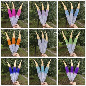 100 pcs Pretty Natural Silver Pheasant Tail Feather 55-60cm/22-24inches Wedding/Dance recital/Party/Halloween/Home decoration
100 pcs Pretty Natural Silver Pheasant Tail Feather 55-60cm/22-24inches Wedding/Dance recital/Party/Halloween/Home decoration