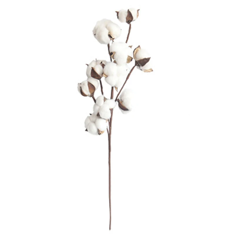 Naturally Dried Cotton Stems Farmhouse Artificial Flowers Filler Bouquet for home decoration or flower arrangement
Naturally Dried Cotton Stems Farmhouse Artificial Flowers Filler Bouquet for home decoration or flower arrangement
