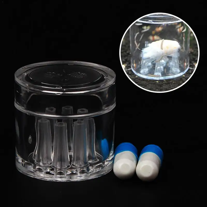 1PCS Planted Aquarium Eco-friendly Snails House Control Remover Innovative Snails Catcher Trapper Dropshipping
1PCS Planted Aquarium Eco-friendly Snails House Control Remover Innovative Snails Catcher Trapper Dropshipping