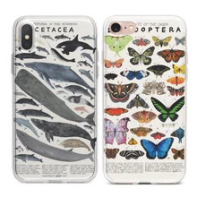 coque iphone xs baleine