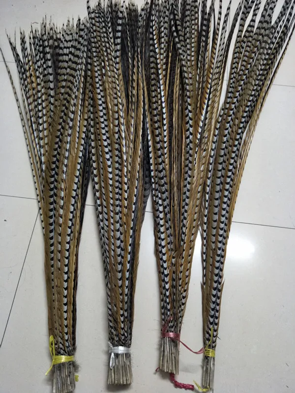 10Pcs 30-180CM Natural long Rare Pheasant Tail Feathers TOP High Quality DIY Party Wedding Decorations Halloween Pheasant plumes
10Pcs 30-180CM Natural long Rare Pheasant Tail Feathers TOP High Quality DIY Party Wedding Decorations Halloween Pheasant plumes
