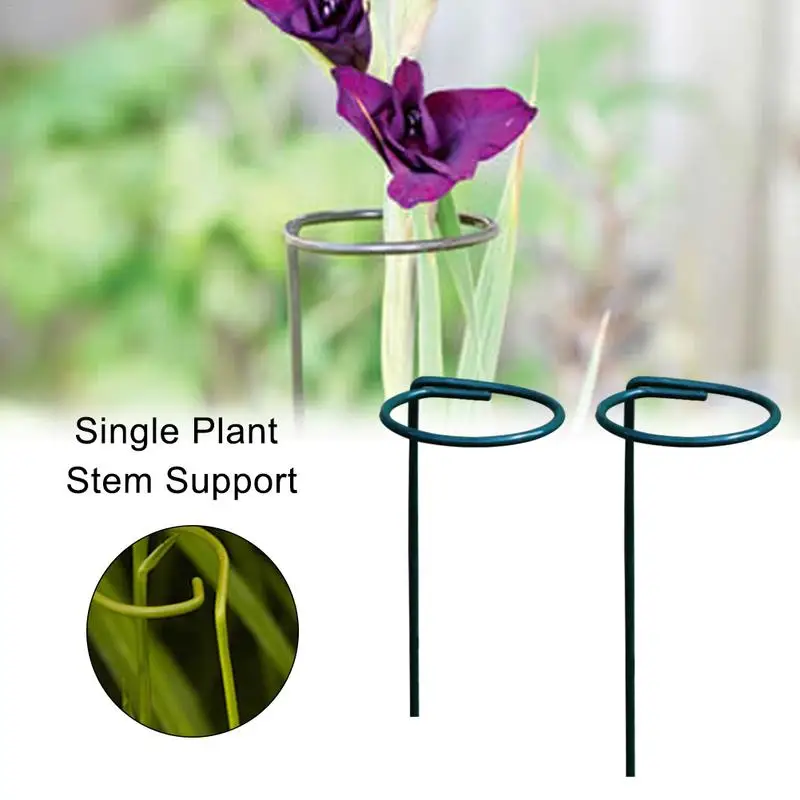 10 PCs Single Plant Stem Support Flower Branch Support Metal Gardening Plant Rack
10 PCs Single Plant Stem Support Flower Branch Support Metal Gardening Plant Rack