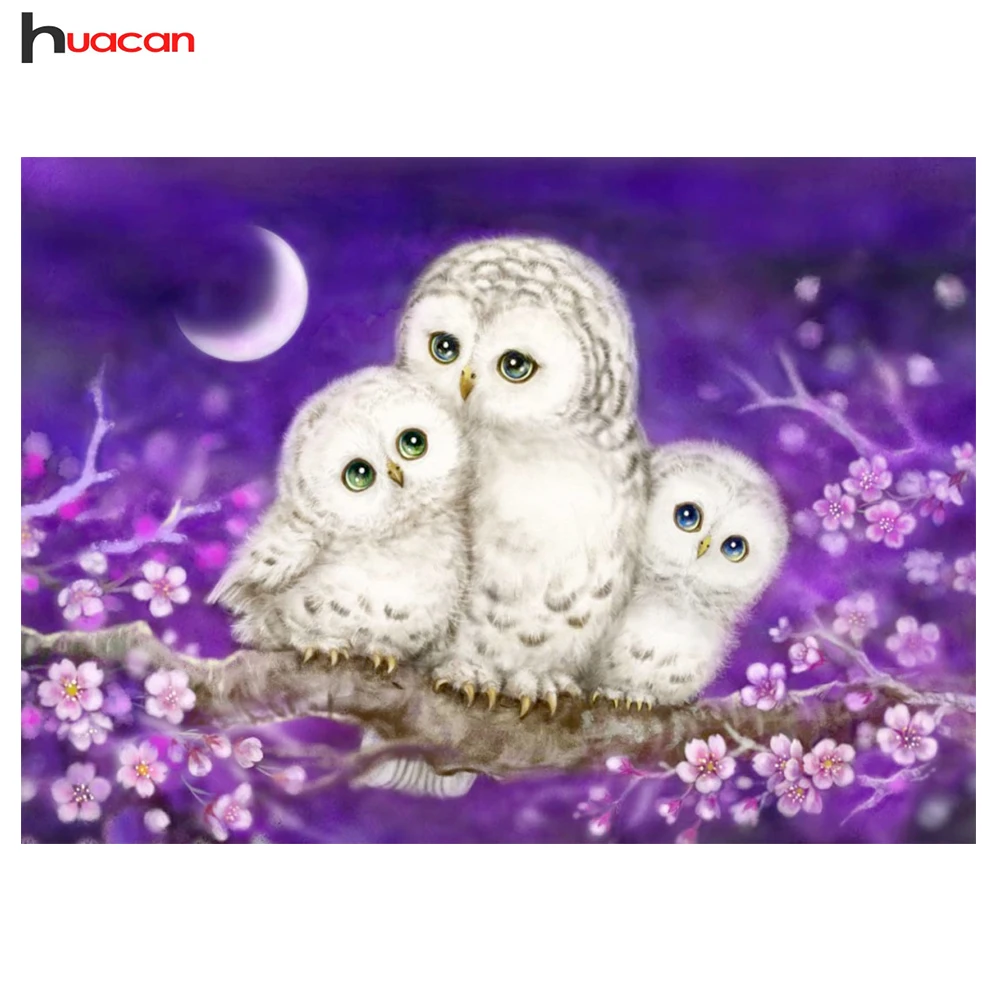 HUACAN Full Lovely Owl Diamond Painting Mosaic Bedroom Decor Rubik's Cube Round Diamond Embroidery Cross Stitch Cartoon H
HUACAN Full Lovely Owl Diamond Painting Mosaic Bedroom Decor Rubik's Cube Round Diamond Embroidery Cross Stitch Cartoon H