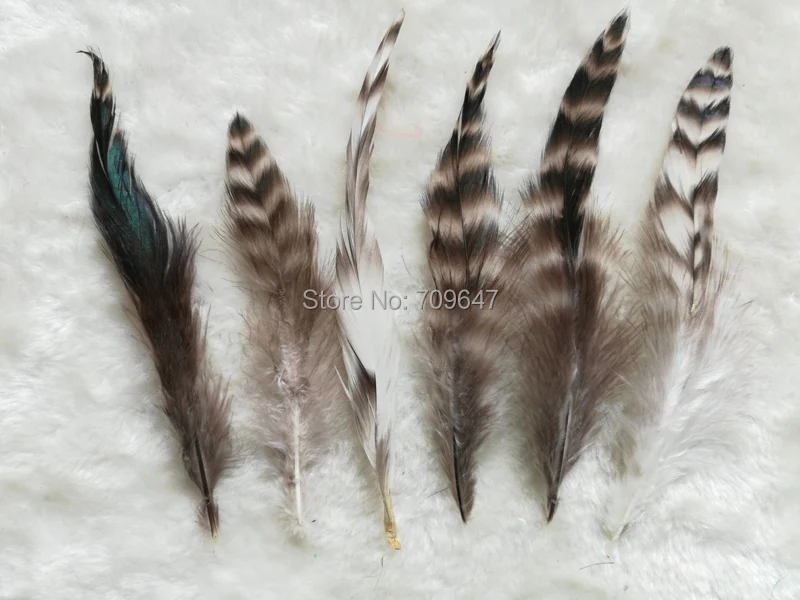 200pcs/lot!4-6"10-15cm Natural Grey Grizzly Chinchilla Coque Rooster Feathers Wholesale Hair Extension Bulk Supply Design Craft
200pcs/lot!4-6"10-15cm Natural Grey Grizzly Chinchilla Coque Rooster Feathers Wholesale Hair Extension Bulk Supply Design Craft