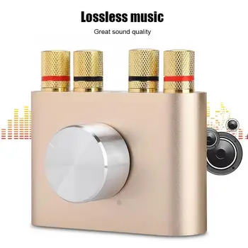 Mini Bluetooth Power Digital Amplifier 100W Hifi Stereo Audio Player Amp EU Plug
Mini Bluetooth Power Digital Amplifier 100W Hifi Stereo Audio Player Amp EU Plug
