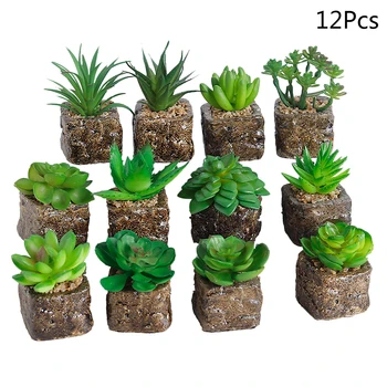 12PCS Decorative Succulent Simulation Green Fake Artificial Mini Plants in Square Pots
12PCS Decorative Succulent Simulation Green Fake Artificial Mini Plants in Square Pots