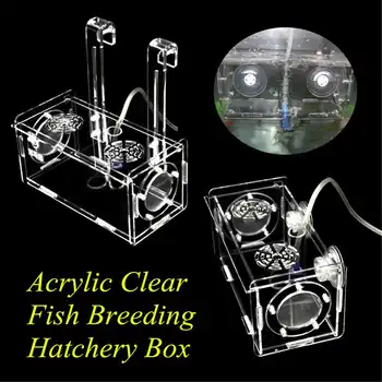 Acrylic Clear Fish Breeding Hatchery Incubator Aquarium Breeder Isolation Box Aquatic Fish Tank Terrarium Tools Accessories
Acrylic Clear Fish Breeding Hatchery Incubator Aquarium Breeder Isolation Box Aquatic Fish Tank Terrarium Tools Accessories